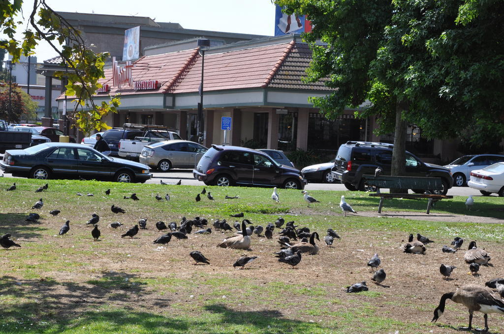 Americas Best Value Inn - Downtown Oakland/Lake Merritt Ngoại thất bức ảnh